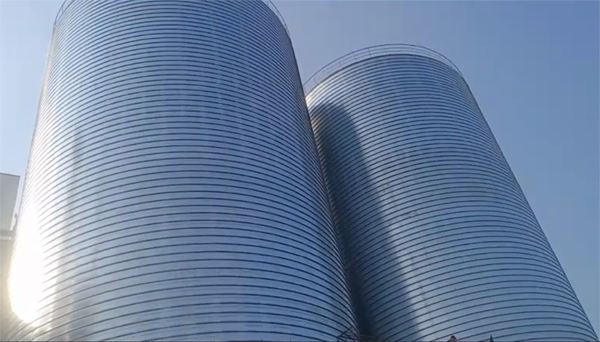 宁远2座混凝土高架卷板仓